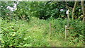 Bridleway from Clewshaw Lane