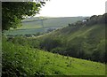 Valley at Pillaton