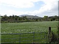 Cultivated grass on the east side of Carrowbane Road