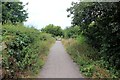 The Wirral Way at Cubbins Green