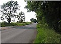 Ratcliffe Road towards Sileby