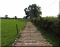 Cattle walkway westwards