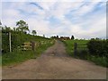 Driveway to Barkby Hall Farm