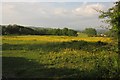 Pasture near St Dominick