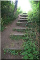 Steps on the footpath out of Binbrook