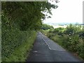 Road from Balgrayhill to Cleuchfoot