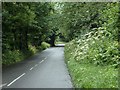 Underbank Lane, downhill view