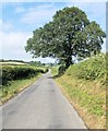 Straight lane near Rhiw-goch