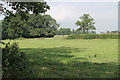 Footpath across the field