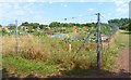 Allotments near Upper Pennington