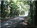 A shaded Temple Lane