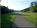 Track in the valley of the West Onny below Black Rhadley Hill