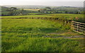 Farmland near Gulworthy