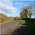 Mill Hill east of Honeyfields farmhouse, Brockweir