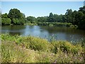 Pond at Paddington Farm