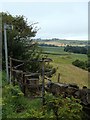 Start of footpath from Green Moor