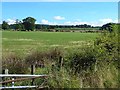 Fields near Parkgate Farm