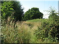 Surrey footpath 213 off Misbrooks Green Road