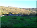 Abbey Farm, Tintern