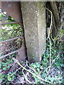 OS benchmark - gatepost near Hem Manor Farm