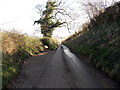 Passing place near Moreton Hill Farm, Standish