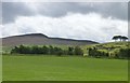 Across the pasture from Lorbottle