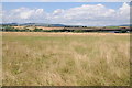 SO5222 : Farmland near Llangarron Court by Philip Halling
