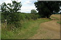 Path down to Padbury Brook