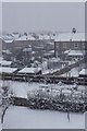 Anerley back gardens under snow