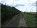 Track to Murton Steads Farm