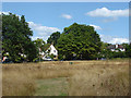 Churchfields nature park