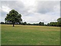 Clapham Common