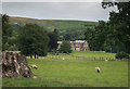 Parkland in front of Kepwick Hall