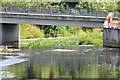 The River Lagan, Lisburn (2013)