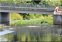 J2764 : The River Lagan, Lisburn (2013) by Albert Bridge
