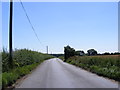 TM2894 : B1527 Shot New Road, Woodton by Geographer