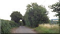 Country lane near Standon