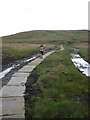 SD8496 : Repaired path, Hearne Head on Great Shunner Fell by Karl and Ali