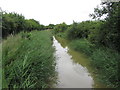 Restored Wilts & Berks Canal near Foxham