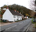 Main road houses, Redbrook