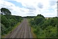 ECML at Bishop Wood