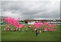 ST2224 : Taunton: Big Pink Balloon Race by John Sutton