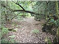 Path in Brookwick Copse