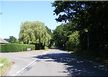 TM3491 : Loddon Road,Ditchingham by Geographer