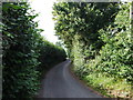 Pested Bars Road, near Boughton Monchelsea