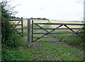 Footpath through a wheat field