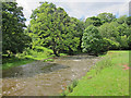 High water levels in the Hoff Beck