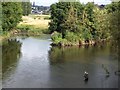 SX9290 : Fishing in the River Exe by David Smith
