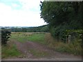 Entrance to wheat field by Upcott Wood