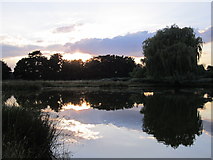 TQ1669 : Sunset, Leg of Mutton Pond, Bushy Park by Rich Tea